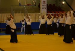 İSTANBUL 8.DAN YOSHIMITSU YAMADA SHIHAN SEMİNERİ 19-20/09/2015 - 2 