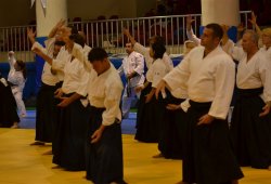 İSTANBUL 8.DAN YOSHIMITSU YAMADA SHIHAN SEMİNERİ 19-20/09/2015 - 2 