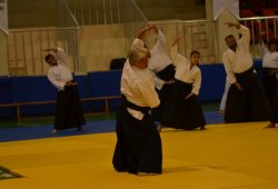 İSTANBUL 8.DAN YOSHIMITSU YAMADA SHIHAN SEMİNERİ 19-20/09/2015 - 2 