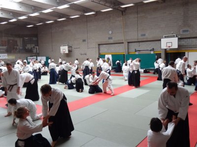 Brüksel, 8.Dan Yoshimitsu Yamada Shihan Semineri Mart 2016