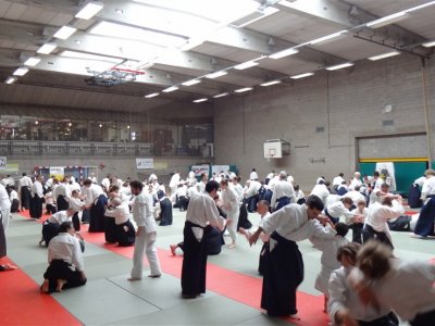 Brüksel, 8.Dan Yoshimitsu Yamada Shihan Semineri Mart 2016