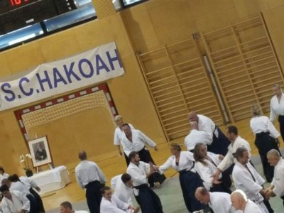 VİYANA, 8.Dan Yoshimitsu Yamada Shihan Semineri 22-23 EKİM 2016