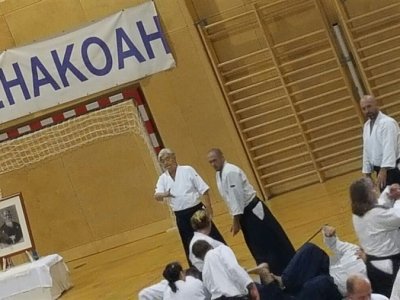 VİYANA, 8.Dan Yoshimitsu Yamada Shihan Semineri 22-23 EKİM 2016