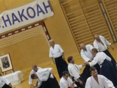 VİYANA, 8.Dan Yoshimitsu Yamada Shihan Semineri 22-23 EKİM 2016