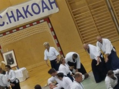 VİYANA, 8.Dan Yoshimitsu Yamada Shihan Semineri 22-23 EKİM 2016