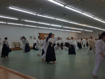 CHICAGO, 8.Dan Yoshimitsu Yamada Shihan Semineri 29-30 NİSAN 2017