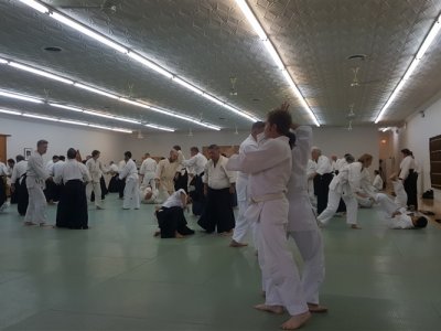 CHICAGO, 8.Dan Yoshimitsu Yamada Shihan Semineri 29-30 NİSAN 2017