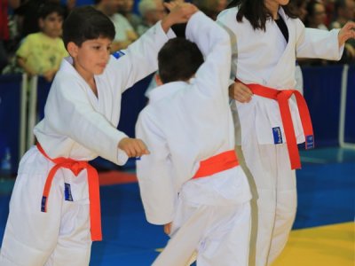 1. ULUSLARARASI AIKIDO ÇOCUK SEMİNERİ 7.DAN DONOVAN WAITE