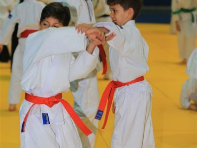 1. ULUSLARARASI AIKIDO ÇOCUK SEMİNERİ 7.DAN DONOVAN WAITE