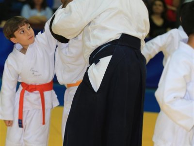 1. ULUSLARARASI AIKIDO ÇOCUK SEMİNERİ 7.DAN DONOVAN WAITE