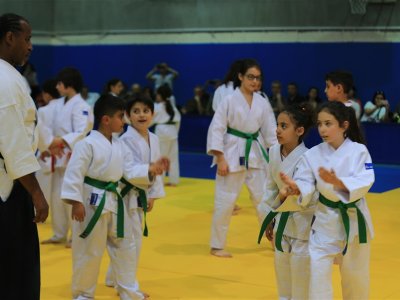 1. ULUSLARARASI AIKIDO ÇOCUK SEMİNERİ 7.DAN DONOVAN WAITE