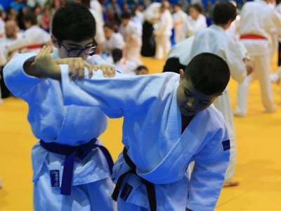 1. ULUSLARARASI AIKIDO ÇOCUK SEMİNERİ 7.DAN DONOVAN WAITE