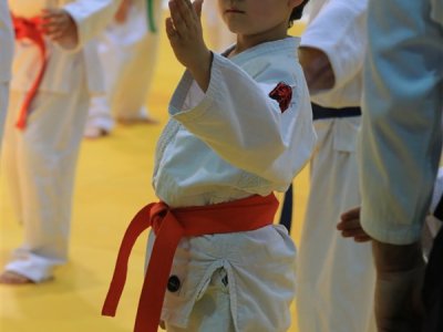 1. ULUSLARARASI AIKIDO ÇOCUK SEMİNERİ 7.DAN DONOVAN WAITE