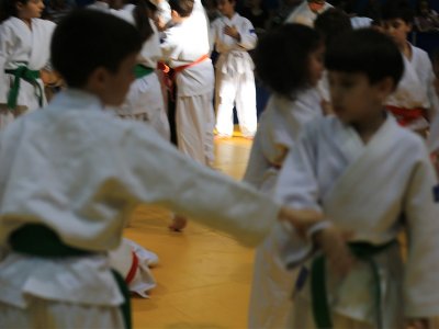 1. ULUSLARARASI AIKIDO ÇOCUK SEMİNERİ 7.DAN DONOVAN WAITE