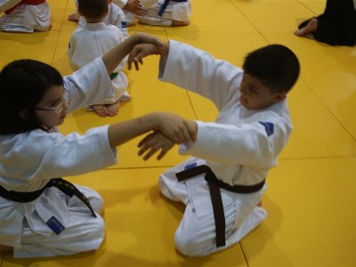 1. ULUSLARARASI AIKIDO ÇOCUK SEMİNERİ 7.DAN DONOVAN WAITE