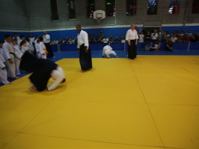 1. ULUSLARARASI AIKIDO ÇOCUK SEMİNERİ 7.DAN DONOVAN WAITE