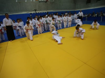 1. ULUSLARARASI AIKIDO ÇOCUK SEMİNERİ 7.DAN DONOVAN WAITE