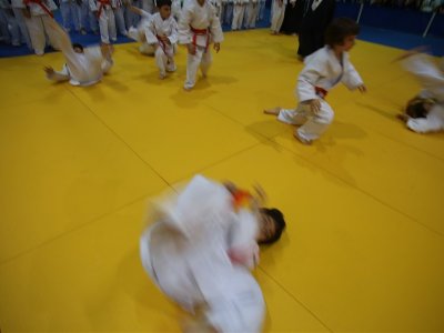 1. ULUSLARARASI AIKIDO ÇOCUK SEMİNERİ 7.DAN DONOVAN WAITE