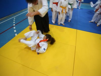 1. ULUSLARARASI AIKIDO ÇOCUK SEMİNERİ 7.DAN DONOVAN WAITE