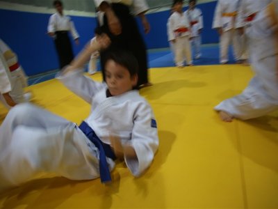 1. ULUSLARARASI AIKIDO ÇOCUK SEMİNERİ 7.DAN DONOVAN WAITE