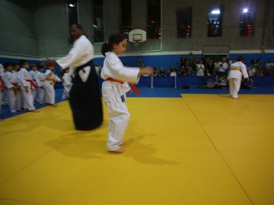 1. ULUSLARARASI AIKIDO ÇOCUK SEMİNERİ 7.DAN DONOVAN WAITE