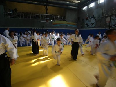 1. ULUSLARARASI AIKIDO ÇOCUK SEMİNERİ 7.DAN DONOVAN WAITE