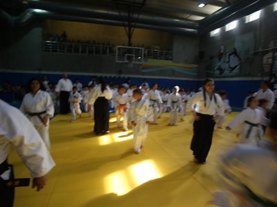 1. ULUSLARARASI AIKIDO ÇOCUK SEMİNERİ 7.DAN DONOVAN WAITE