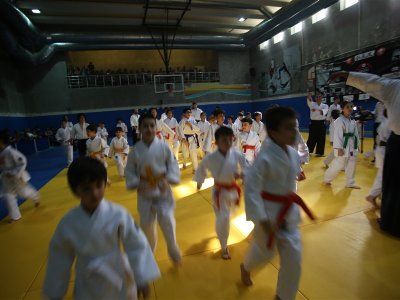 1. ULUSLARARASI AIKIDO ÇOCUK SEMİNERİ 7.DAN DONOVAN WAITE