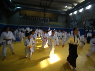 1. ULUSLARARASI AIKIDO ÇOCUK SEMİNERİ 7.DAN DONOVAN WAITE