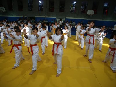 1. ULUSLARARASI AIKIDO ÇOCUK SEMİNERİ 7.DAN DONOVAN WAITE