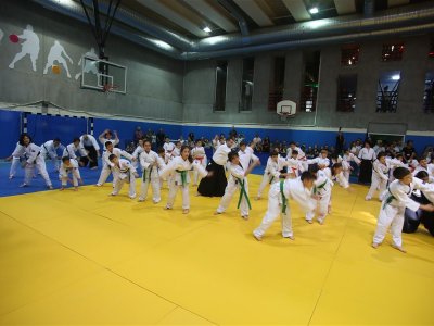 1. ULUSLARARASI AIKIDO ÇOCUK SEMİNERİ 7.DAN DONOVAN WAITE