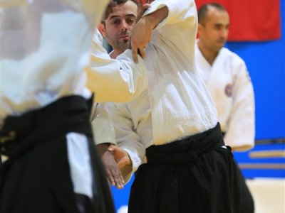 İSTANBUL, 7.Dan Donovan Waite Shihan Semineri 13-14 MAYIS 2017