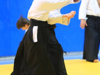 İSTANBUL, 7.Dan Donovan Waite Shihan Semineri 13-14 MAYIS 2017