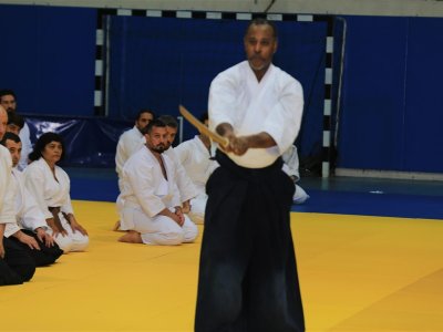 İSTANBUL, 7.Dan Donovan Waite Shihan Semineri 13-14 MAYIS 2017