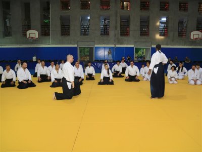 İSTANBUL, 7.Dan Donovan Waite Shihan Semineri 13-14 MAYIS 2017