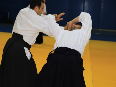 İSTANBUL, 7.Dan Donovan Waite Shihan Semineri 13-14 MAYIS 2017