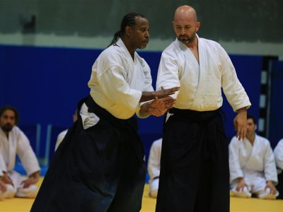 İSTANBUL, 7.Dan Donovan Waite Shihan Semineri 13-14 MAYIS 2017