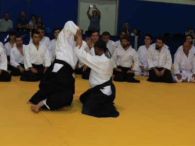 İSTANBUL, 7.Dan Donovan Waite Shihan Semineri 13-14 MAYIS 2017