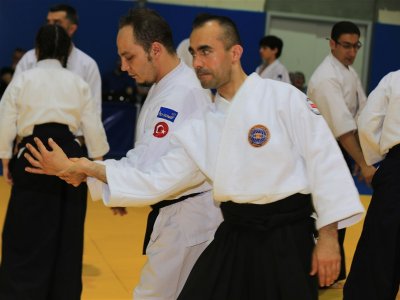 İSTANBUL, 7.Dan Donovan Waite Shihan Semineri 13-14 MAYIS 2017