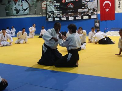 İSTANBUL, 7.Dan Donovan Waite Shihan Semineri 13-14 MAYIS 2017