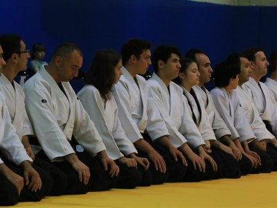 İSTANBUL, 7.Dan Donovan Waite Shihan Semineri 13-14 MAYIS 2017