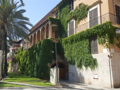 Palma De Mallorca, 8.Dan Yoshimitsu Yamada Shihan Semineri 26-28 Mayıs 2017