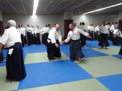 Palma De Mallorca, 8.Dan Yoshimitsu Yamada Shihan Semineri 26-28 Mayıs 2017