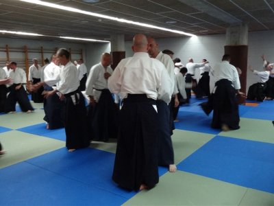 Palma De Mallorca, 8.Dan Yoshimitsu Yamada Shihan Semineri 26-28 Mayıs 2017