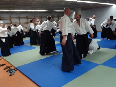 Palma De Mallorca, 8.Dan Yoshimitsu Yamada Shihan Semineri 26-28 Mayıs 2017