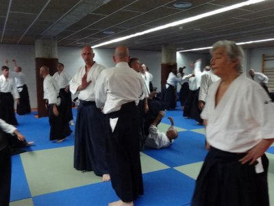 Palma De Mallorca, 8.Dan Yoshimitsu Yamada Shihan Semineri 26-28 Mayıs 2017