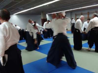 Palma De Mallorca, 8.Dan Yoshimitsu Yamada Shihan Semineri 26-28 Mayıs 2017