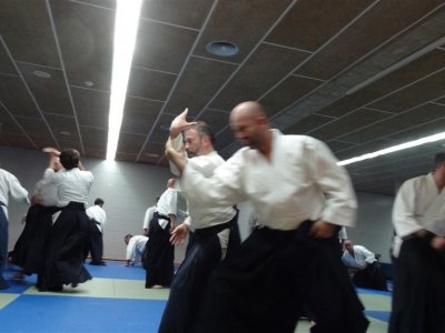 Palma De Mallorca, 8.Dan Yoshimitsu Yamada Shihan Semineri 26-28 Mayıs 2017