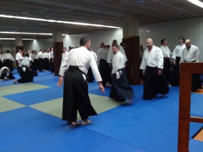 Palma De Mallorca, 8.Dan Yoshimitsu Yamada Shihan Semineri 26-28 Mayıs 2017