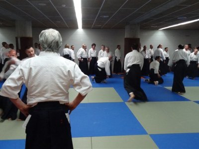 Palma De Mallorca, 8.Dan Yoshimitsu Yamada Shihan Semineri 26-28 Mayıs 2017